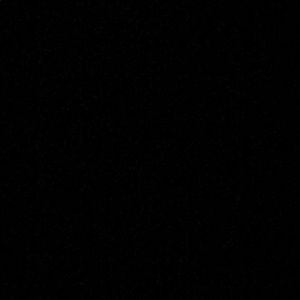 Meet your Posher, Paige